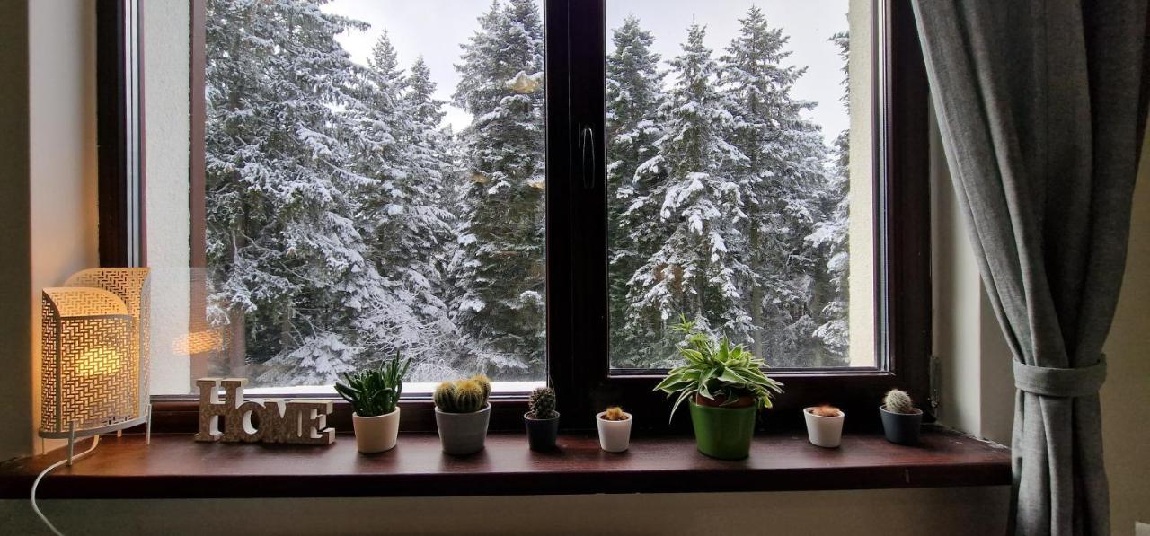 Pine Tree Apartment / Borovets Gardens Exterior foto